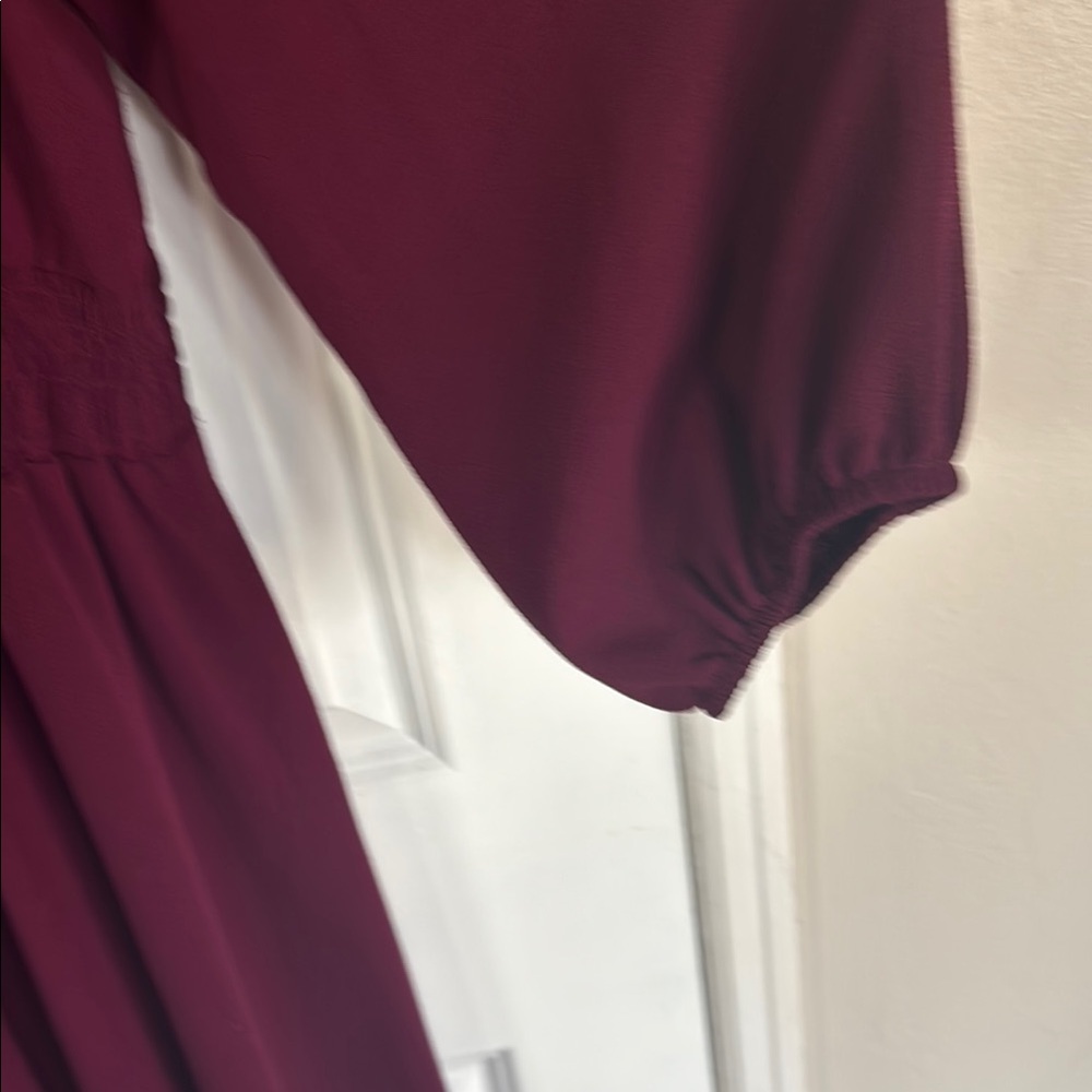 Deep Burgundy Button-Front Dress, Plus Size 2X - Picture 6 of 7